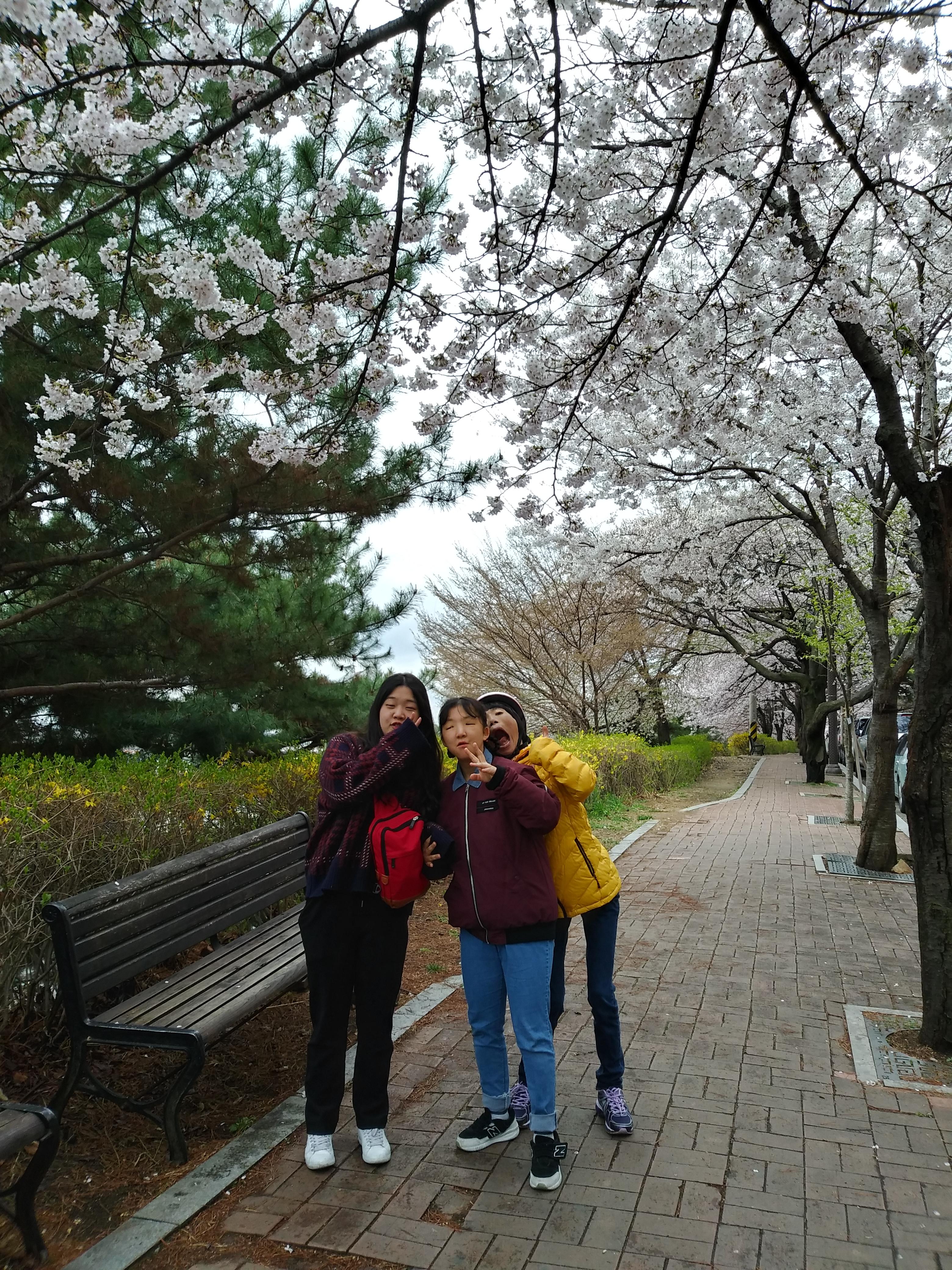 KakaoTalk_20190410_172756247_08.jpg